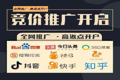 SEM服务案例：打造行业领先品牌
